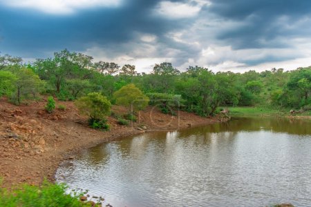 Foto de Burgersfort se encuentra en el valle del río Spekboom en el borde del complejo Bushveld en el municipio local de Fetakgomo Tubatse de la provincia de Limpopo, cerca de la frontera con la provincia de Mpumalanga. - Imagen libre de derechos