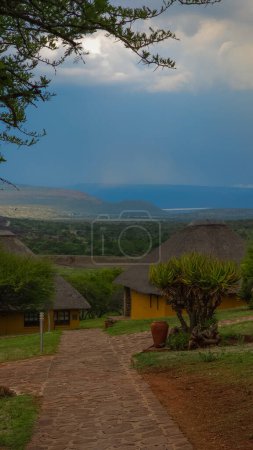 Téléchargez les photos : Paysage de la savane africaine dans une loge de safari en Afrique du Sud - en image libre de droit