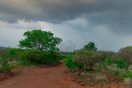 Photo for Storm clouds over Burgersfort is located in the valley of the Spekboom River near the border of the Mpumalanga and Limpopo Provinces - Royalty Free Image