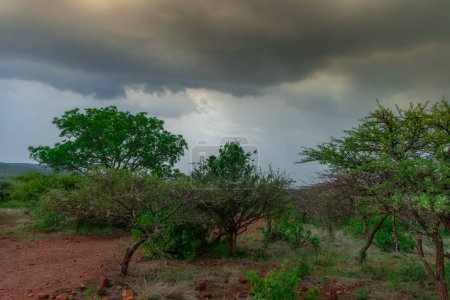 Foto de Nubes de tormenta sobre Burgersfort se encuentra en el valle del río Spekboom, cerca de la frontera de las provincias de Mpumalanga y Limpopo - Imagen libre de derechos