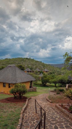 Téléchargez les photos : Le très joli paysage de la célèbre savane en Afrique du Sud - en image libre de droit