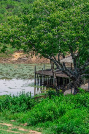 Foto de Pequeño lago perdido en el corazón de la sabana en Sudáfrica - Imagen libre de derechos