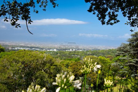 Téléchargez les photos : Promenez-vous dans le magnifique jardin de Kirstenbosch au Cap, en Afrique du Sud - en image libre de droit