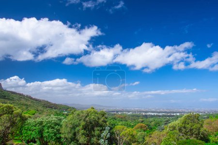 Photo for Walk through the beautiful Kirstenbosch Garden in Cape Town, South Africa - Royalty Free Image