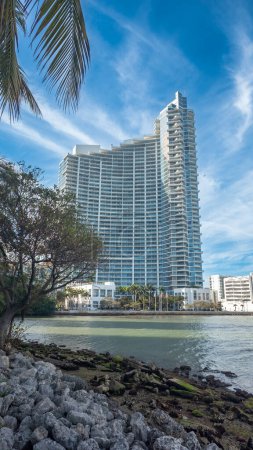 Téléchargez les photos : Un palmier devant un grand bâtiment, à Miami - en image libre de droit