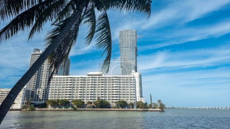 Foto de Una palmera frente a un gran edificio, en Miami - Imagen libre de derechos
