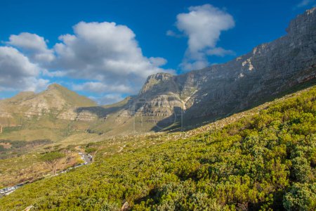 Foto de Vista de la famosa montaña cabeza de león, Ciudad del Cabo, Sudáfrica - Imagen libre de derechos