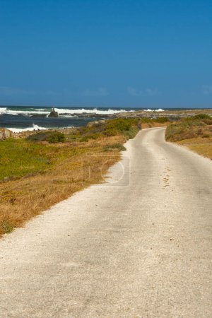 Foto de Vista del camino en la costa durante las olas que se estrellan sobre las rocas en Ciudad del Cabo y la Mesa desde la Isla Robben en Sudáfrica - Imagen libre de derechos