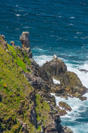 Téléchargez les photos : Littoral rocheux dans le célèbre Cap de Bonne Espérance en Afrique du Sud - en image libre de droit