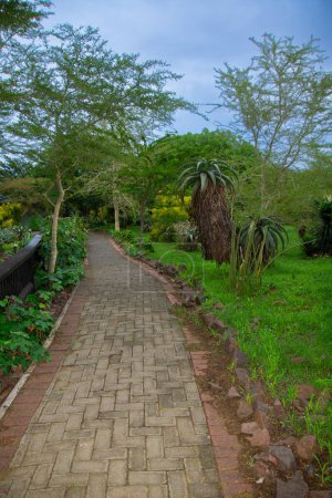 Photo for Stunning garden in an African savannah lodge, Hazyview, South Africa  view of paths - Royalty Free Image