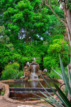 Impresionante jardín en un lodge de sabana africana, Hazyview, Sudáfrica  