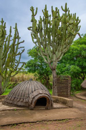 Traditional architecture in a traditional village in the swaziland countryside 