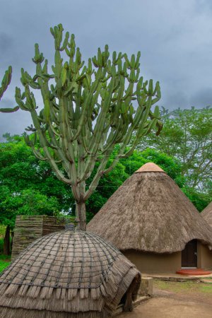 Traditional architecture in a traditional village in the swaziland countryside   
