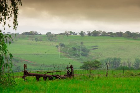 Très joli paysage de la célèbre savane en Afrique du Sud 