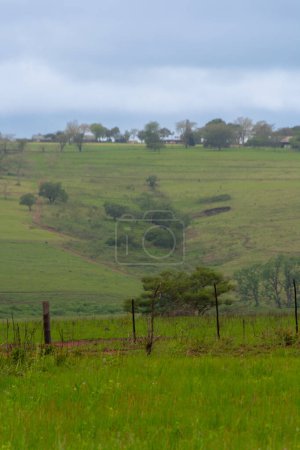 Sehr schöne Landschaft der berühmten Savanne in Südafrika   