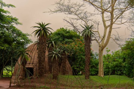 Architecture traditionnelle dans un village traditionnel de la campagne swaziland   