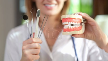 Téléchargez les photos : Le dentiste montre le modèle des mâchoires humaines et les outils de soins des dents dans le bureau de l'hôpital. Le médecin explique l'examen de la cavité buccale et l'hygiène quotidienne - en image libre de droit