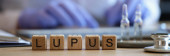 Close-up of lupus word on wooden cubes in raw. Doctor writing prescription or treatment. Healthcare and inflammation of skin diseases concept Sweatshirt #660943066