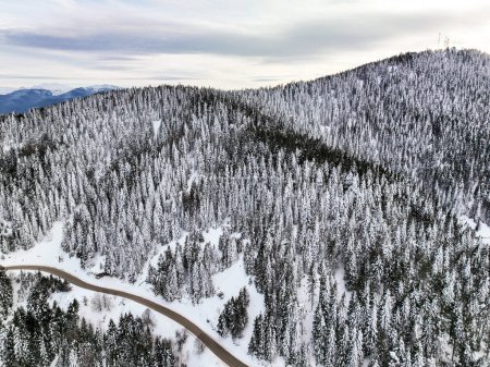 Foto de Golcuk - Bolu - Turkey, winter snow during snowfall. Travel concept drone photo. Highway, road in snowy tree landscape. - Imagen libre de derechos