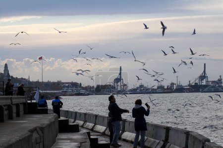 Foto de Estambul - Turquía, 22 de febrero de 2022, Paisaje de personas alimentando gaviotas en la playa - Imagen libre de derechos