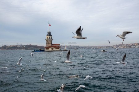 Téléchargez les photos : Istanbul - Tour de la Vierge - Turquie, paysage de la Tour de la Vierge (Kiz Kulesi) - en image libre de droit