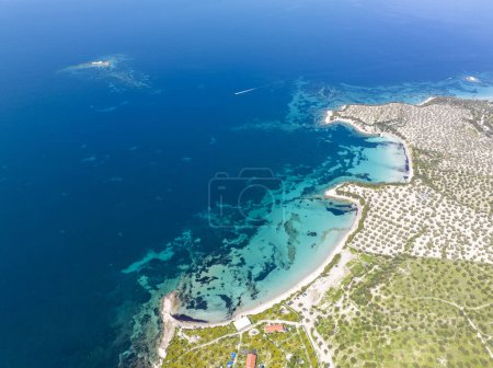 Photo for North Aegean shorelines Pissa Bay aerial photography. Pissa koyu - Dikili - Izmir - Turkey. - Royalty Free Image