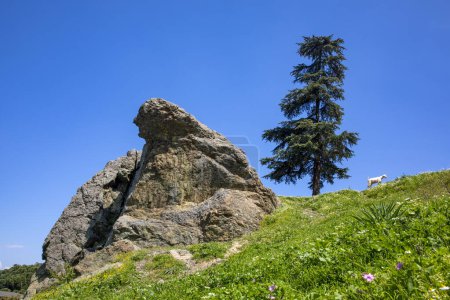 Téléchargez les photos : Niobe Weeping Rock (Aglayan Kaya), une formation rocheuse naturelle, à Manisa, en Turquie. Selon la mythologie grecque, le Niobé affligé a été transformé en pierre. - en image libre de droit
