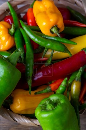 Photo for Fresh colored hot peppers on a white background - Royalty Free Image
