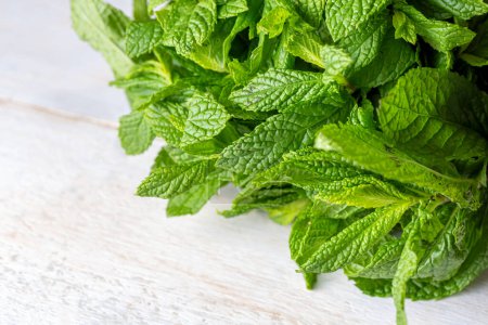 Photo for Green fresh mint on the table - Royalty Free Image