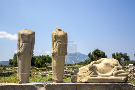 Photo for Archaic statue of Hera at Samos, Heraion Ancient City - Greece - Royalty Free Image
