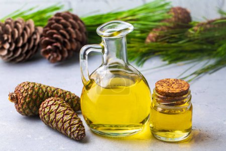 Photo for Pine turpentine essential oil in glass bottle with pine coniferous leaves and pine cone. Kiefer turpentin - Royalty Free Image