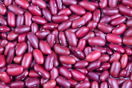 Photo for Dried red bean, kidney bean on the white background - Royalty Free Image