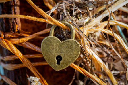 Téléchargez les photos : Cadenas en forme de coeur. Concept d'amour Saint-Valentin. - en image libre de droit