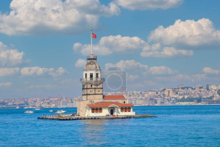 Maiden Tower (Kiz Kulesi) and seagulls , Istanbul - Turkey