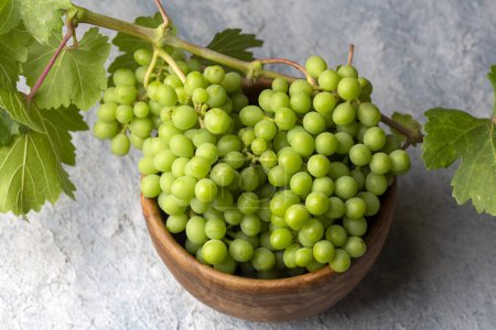 Photo for Unripe green grapes, grapevine with leaves (Turkish name; koruk) - Royalty Free Image