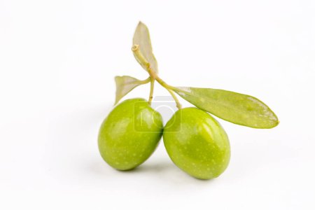 Foto de Verde oliva fresca sobre fondo blanco - Imagen libre de derechos