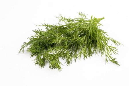 Photo for Fresh, green dill grass on a white background - Royalty Free Image