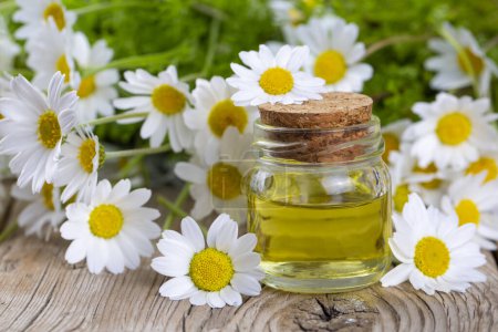 Photo for White daisy oil on the wooden background - Royalty Free Image