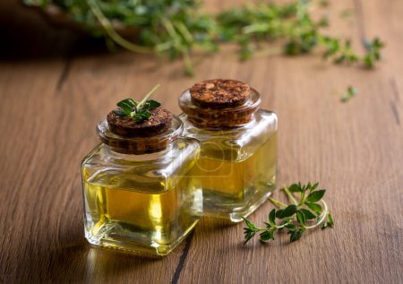 Photo for Green thyme and thyme oil - Royalty Free Image