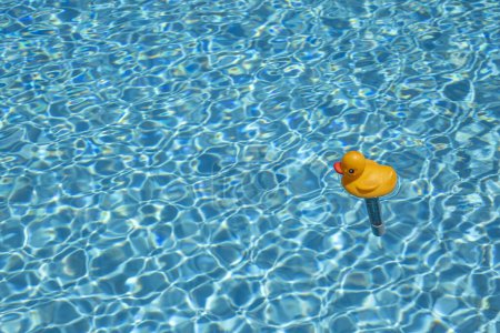 Photo for Yellow duck funny thermometer in swimming pool - Royalty Free Image