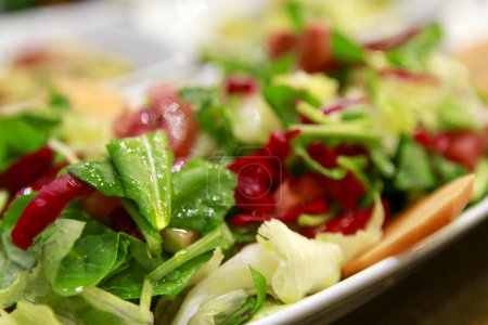 Téléchargez les photos : Salade de moutons turcs au concombre, tomate, oignon rouge, poivre, persil (nom turc ; salata kasik)) - en image libre de droit