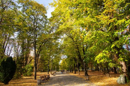 Téléchargez les photos : Automne dans le parc Shumen - Bulgarie - en image libre de droit