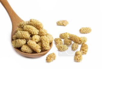Photo for Dried white mulberry on the white background - Royalty Free Image