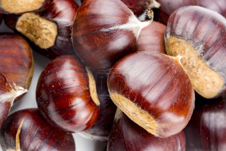 Photo for Ripe chestnuts close up. Raw Chestnuts for Christmas. Fresh sweet chestnut. Castanea sativa top wiew. Food background. - Royalty Free Image