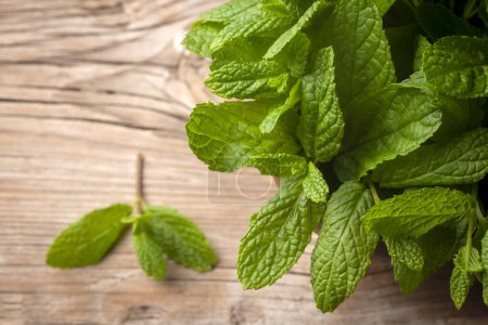 Photo for Fresh mint on the wooden background - Royalty Free Image