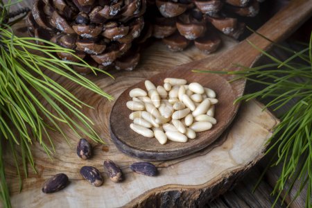 Photo for Pine nuts in the spoon and pine nut cone on the wooden table. Organic food. - Royalty Free Image