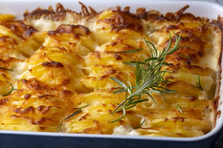 Foto de Rallado de patata - rallado (patatas al horno con crema y queso) con romero y tenedores (nombre turco; Patatas kremali) - Imagen libre de derechos