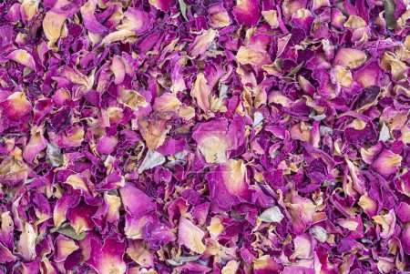 Téléchargez les photos : Dry rose flower petals tea - en image libre de droit