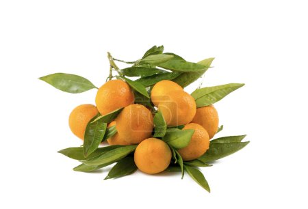 Téléchargez les photos : Mandarines mûres avec feuilles en gros plan sur fond blanc. Tangerines avec feuilles sur fond blanc
. - en image libre de droit
