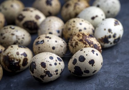 Foto de Huevos de codorniz aislados sobre un fondo blanco - Imagen libre de derechos